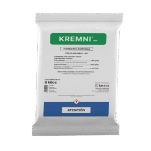 KREMNI WP