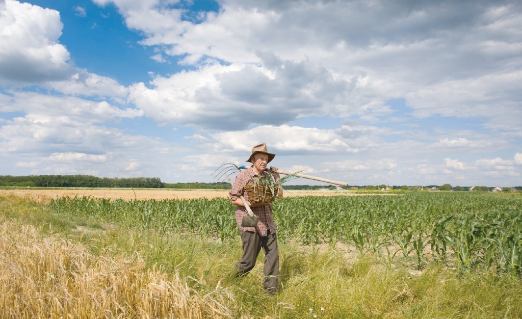 La agroindustria de la caña en Colombia crece con sostenibilidad e innovación